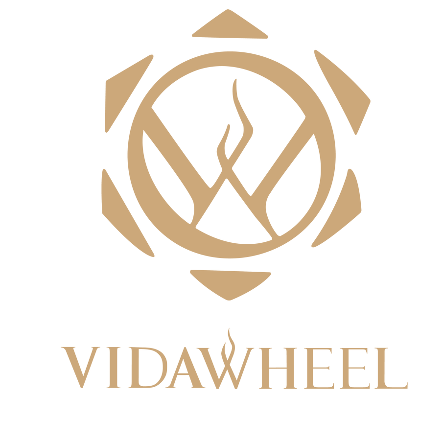 VidaWheel